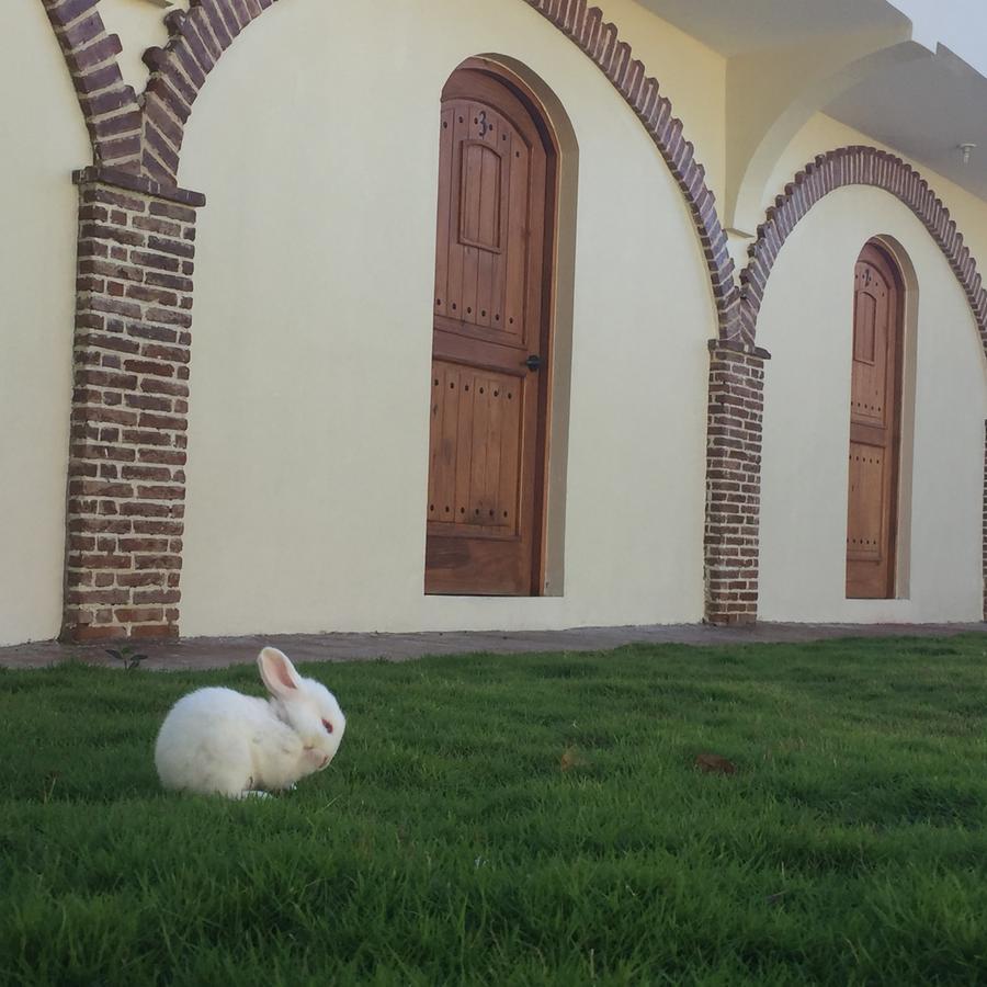 Hotel Yamili Punta Cana Luaran gambar